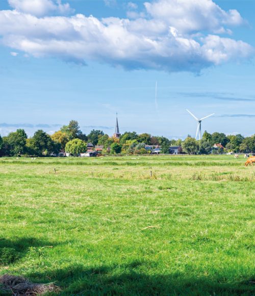 Prachtig hollands landschap, schoon en zonder afval